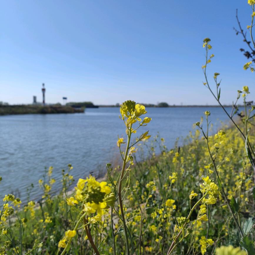 你我同心   可好