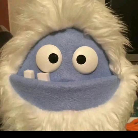 宠它它•宝贝8号