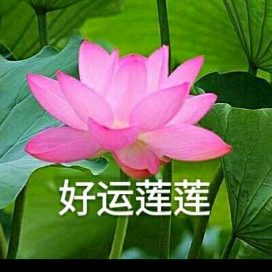 为自己代闫
