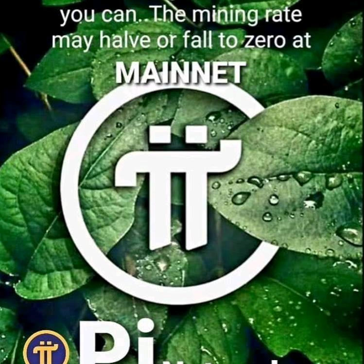 梧哥（手中有派，心中有爱！）