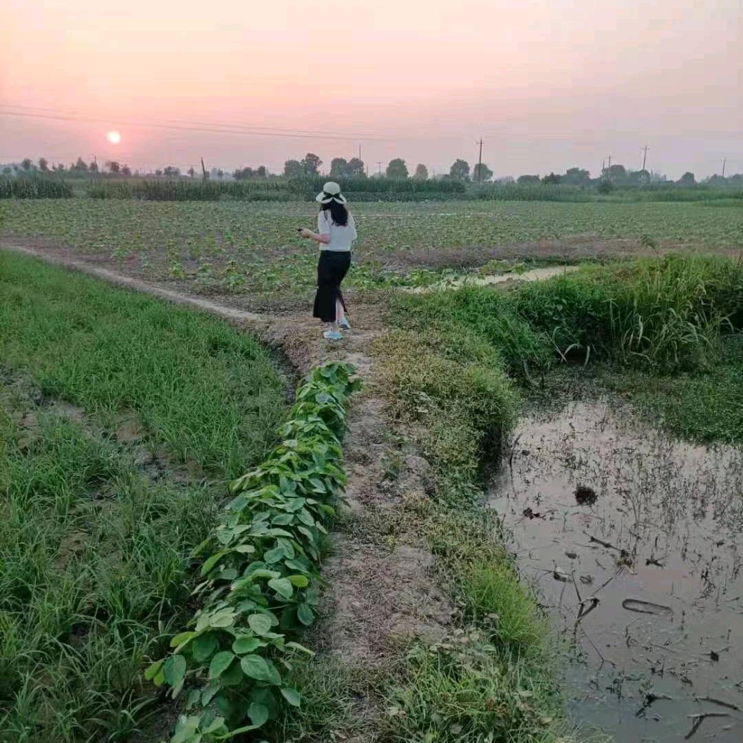 杨姐（大号早上7.15）