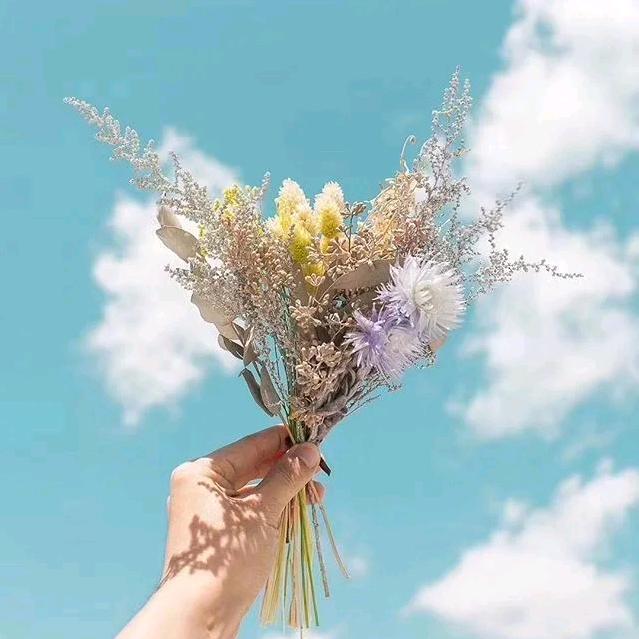 拾拾精选