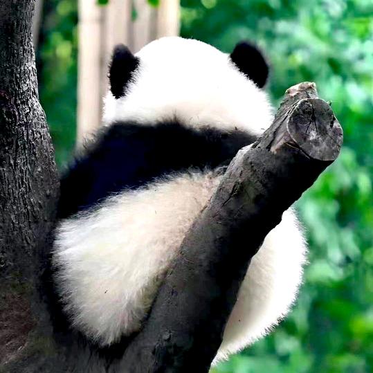 尘世一书童