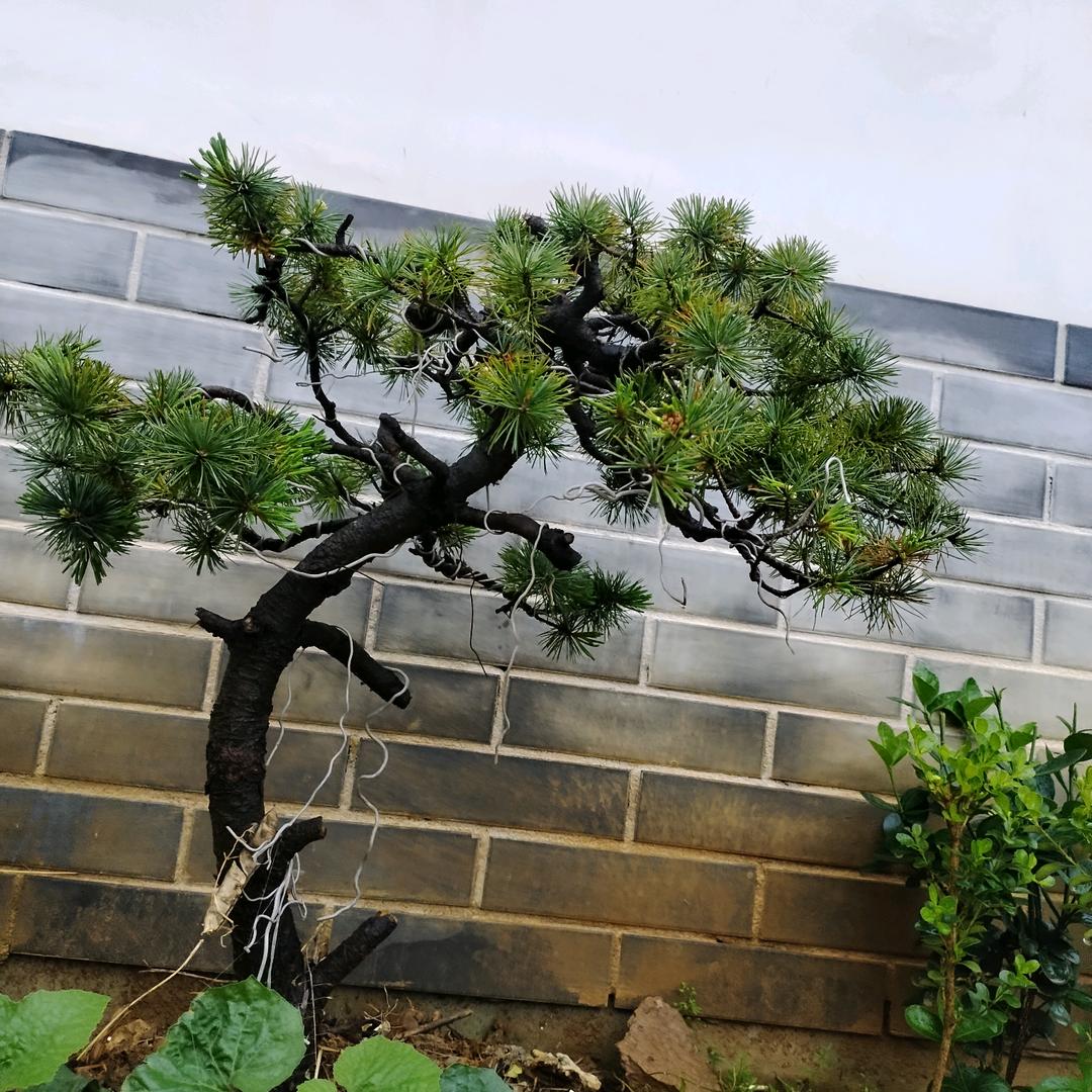 岁月似水