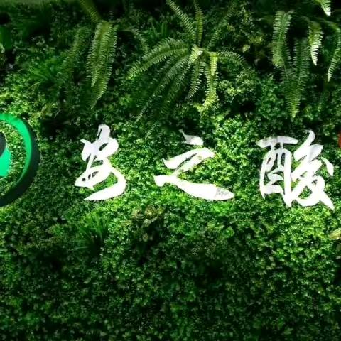 连南安之酸总店