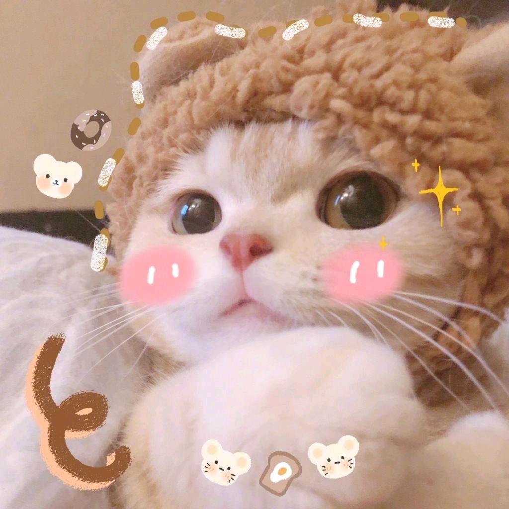 彤豆家纺