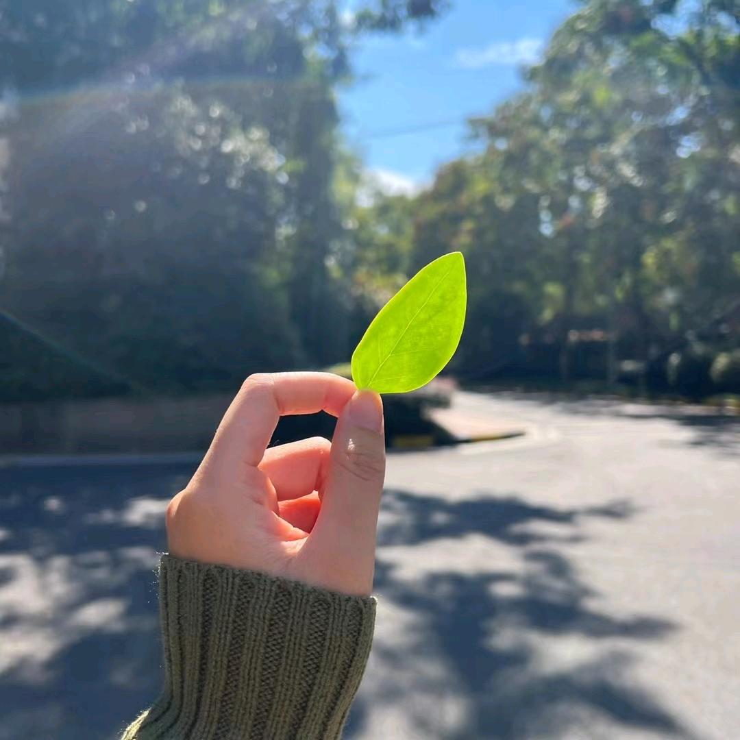 源源好物分享