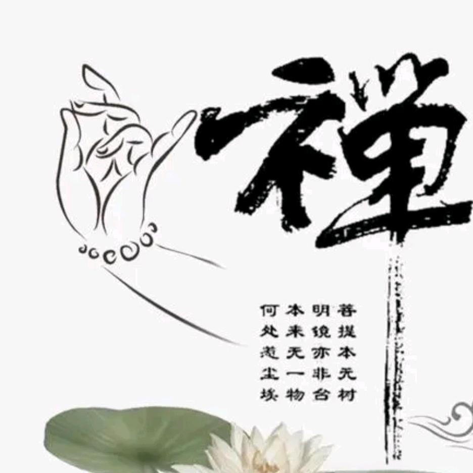 念慈@2336540