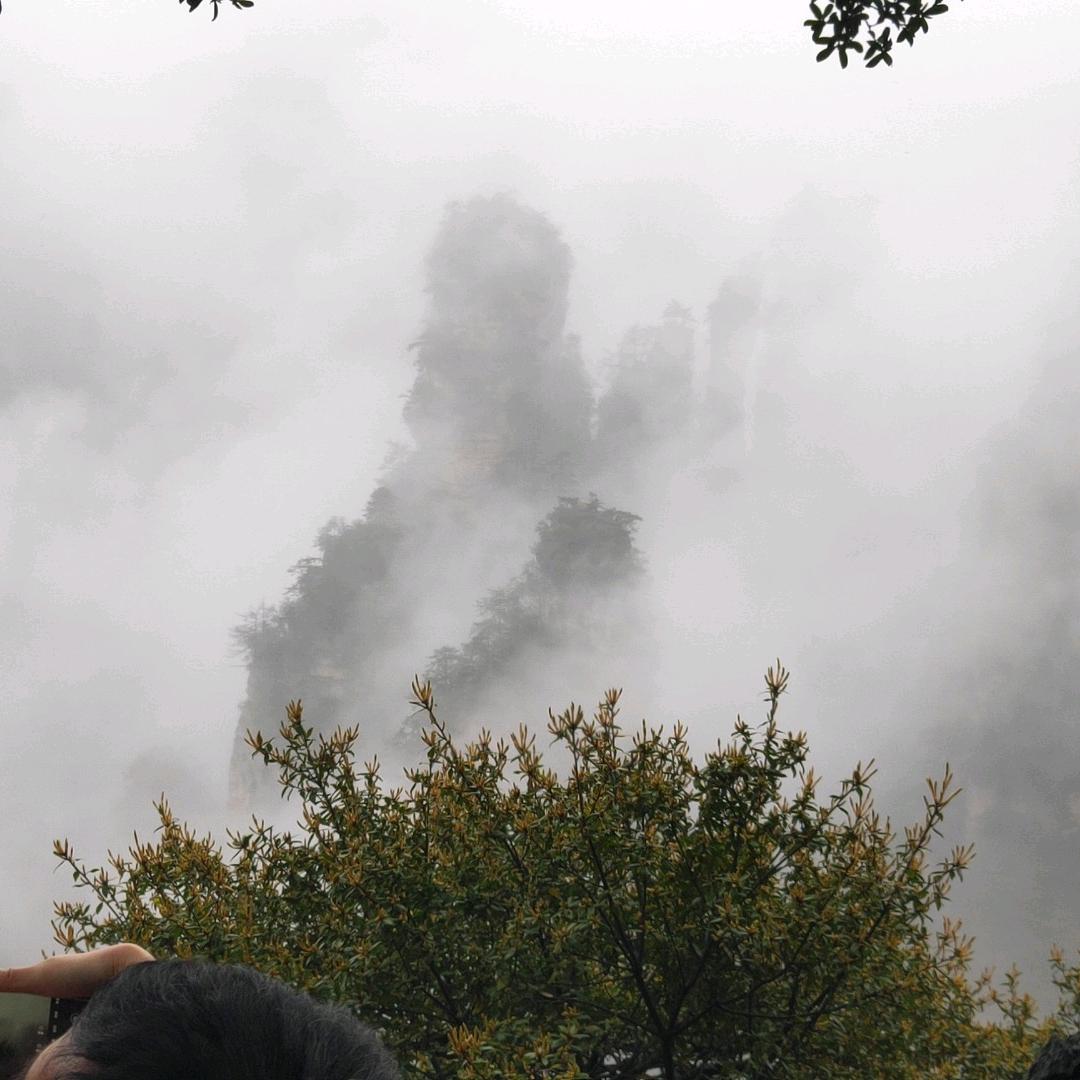 漫步綪雲