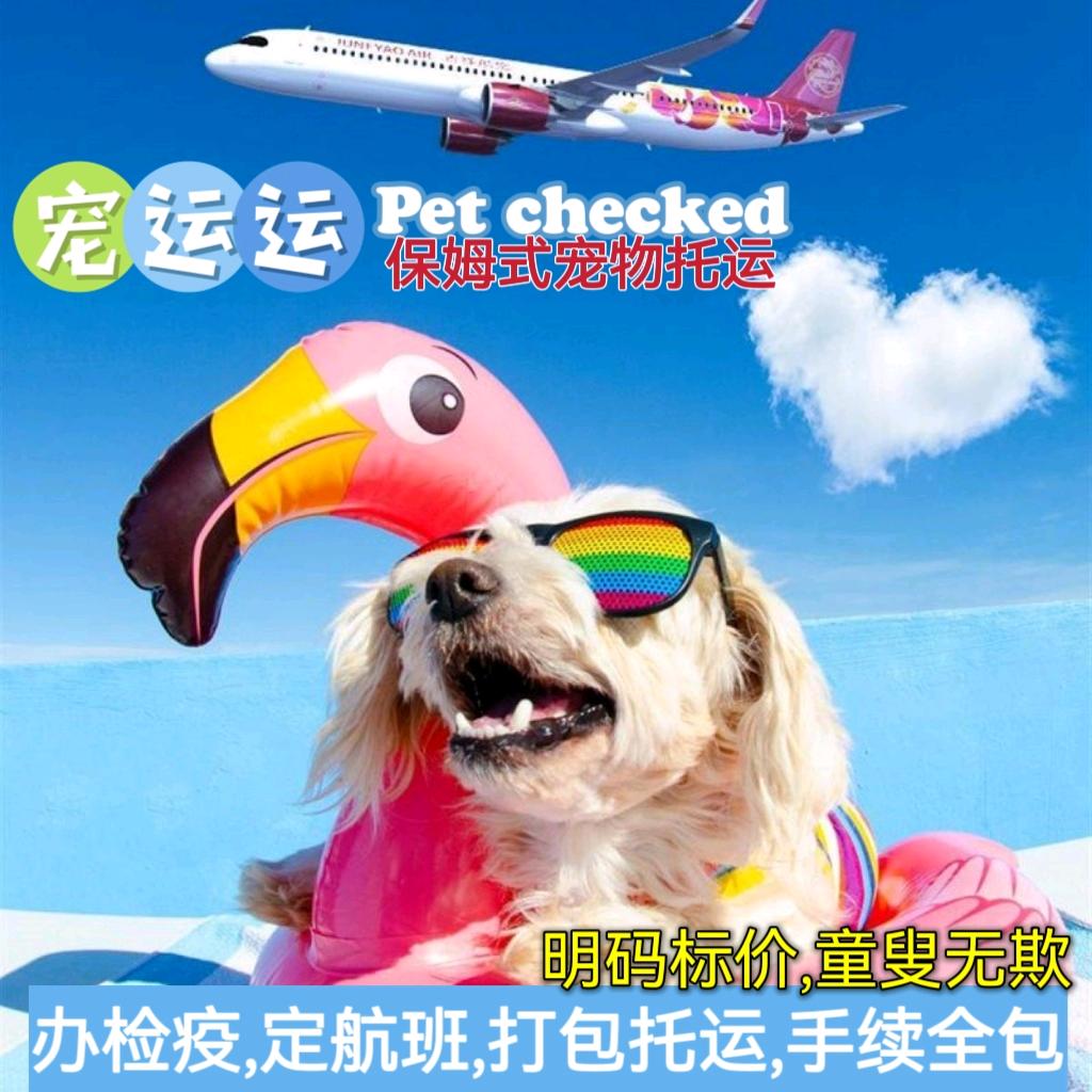 宠运运（宠物托运全国连锁）
