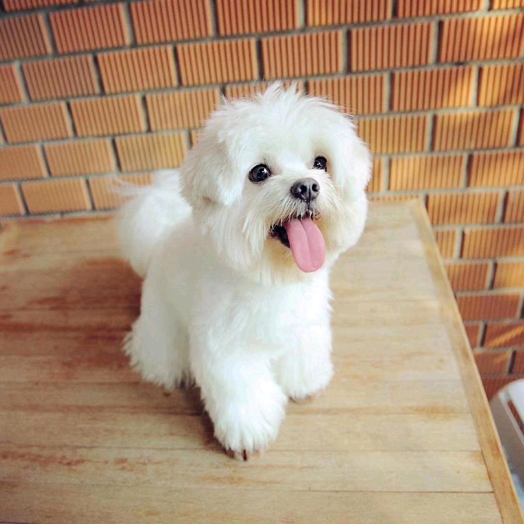 @ঞ ꦿ不期 ໌້ᮨ而遇꧔ꦿ᭄💞