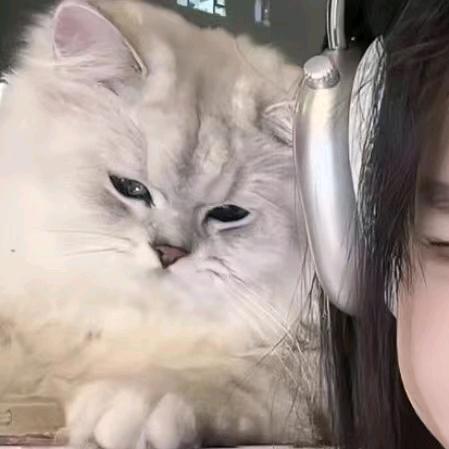 给宿舍阿姨倒一杯卡布奇诺~