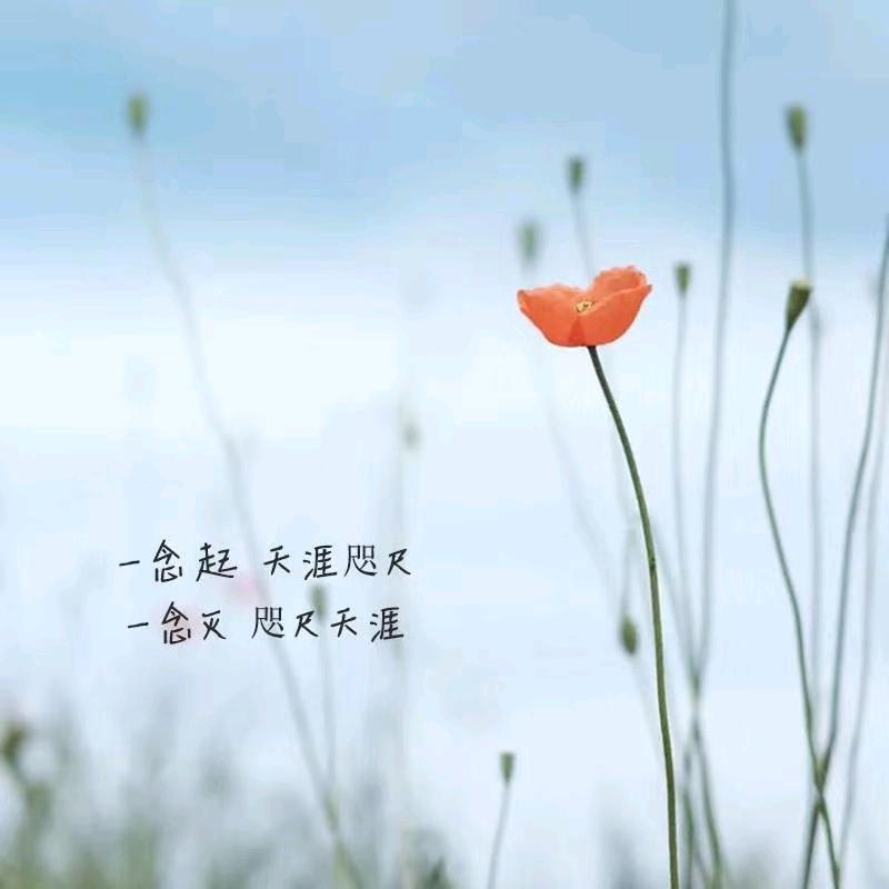 咫尺天涯