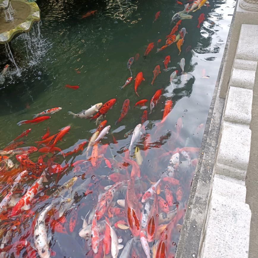 祁连悦悦