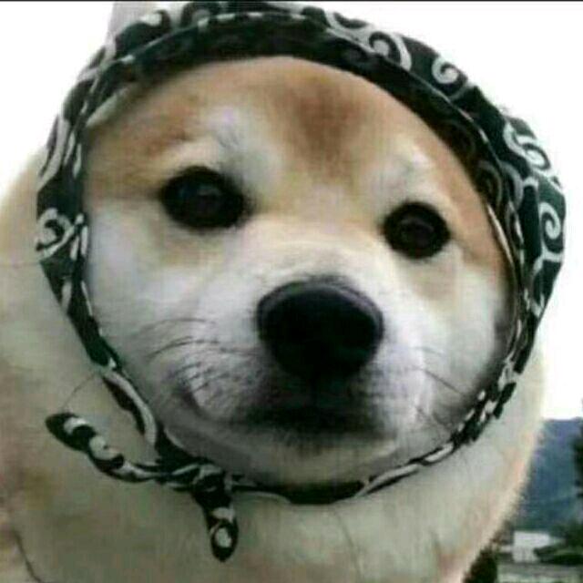 大宝行者