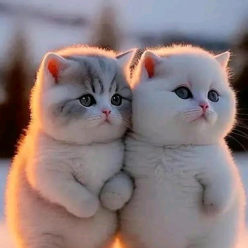 🥀~心向🌻阳光~🌸付玉琴