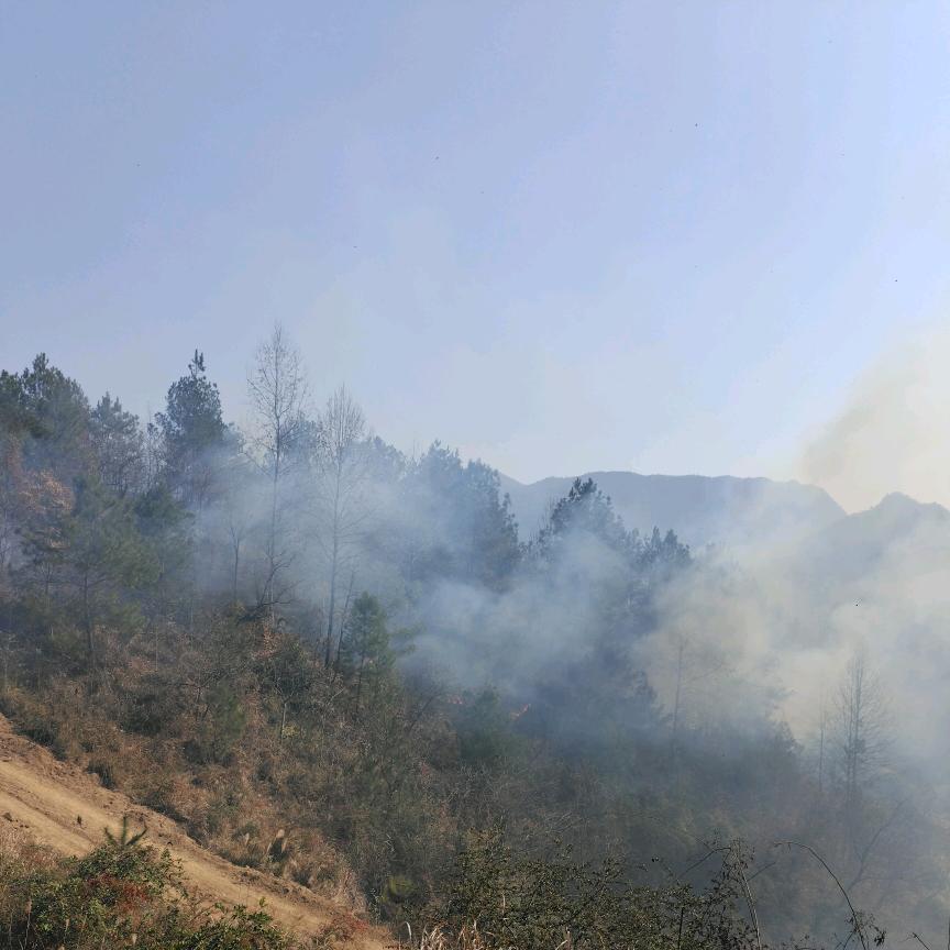 ღ᭄ꦿ꯭俊ঞꦿ᭄💞ℳ🥀ꦿ꯭