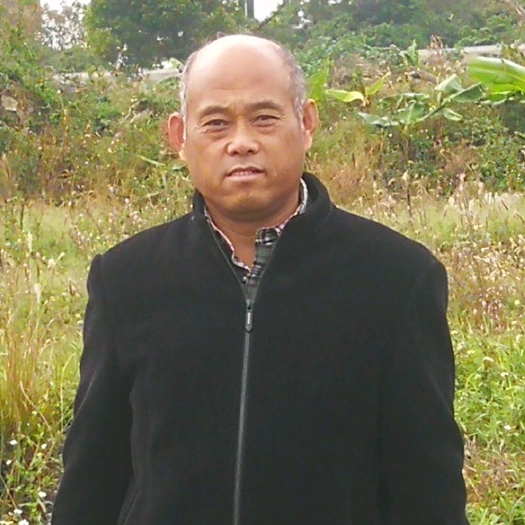 河南李哥