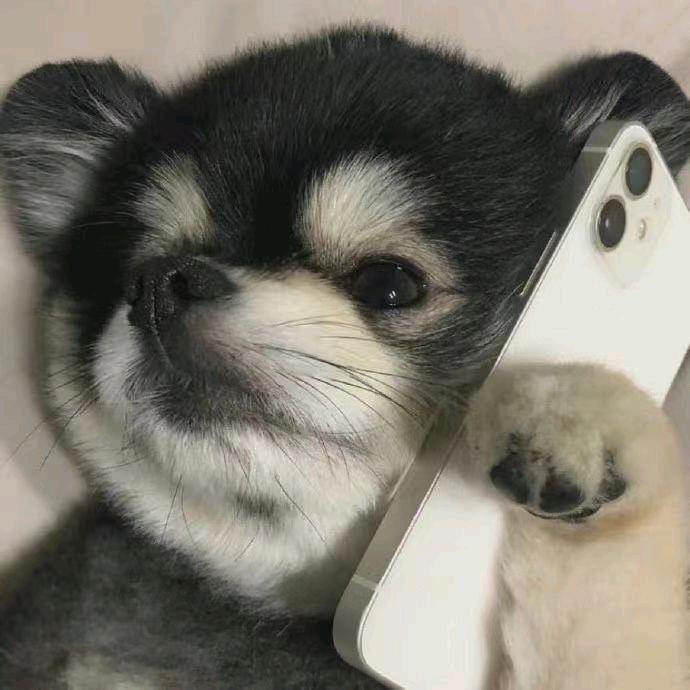 闫如玉