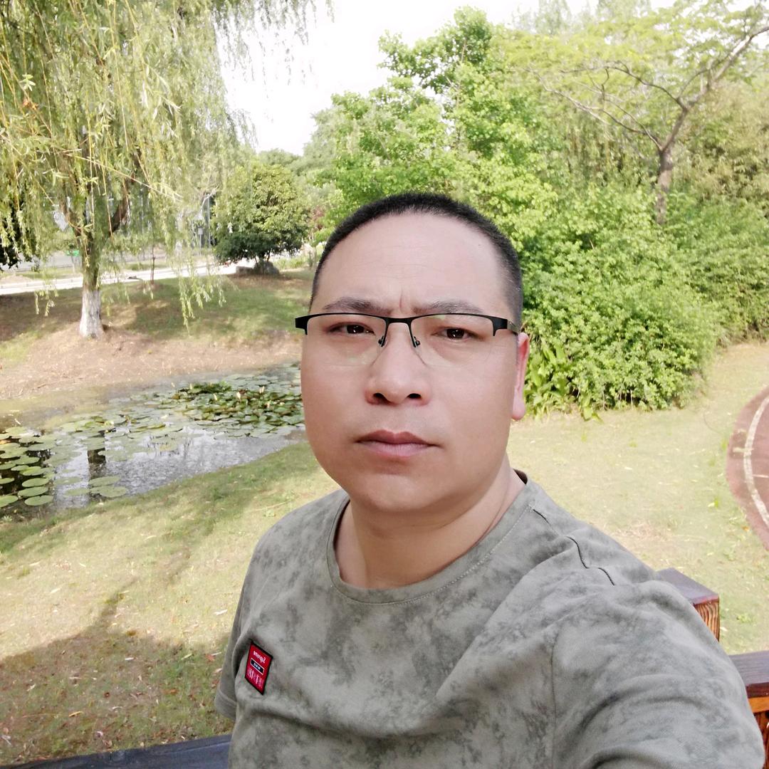 胡 杨