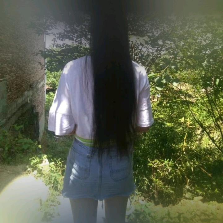 摆烂的咸鱼