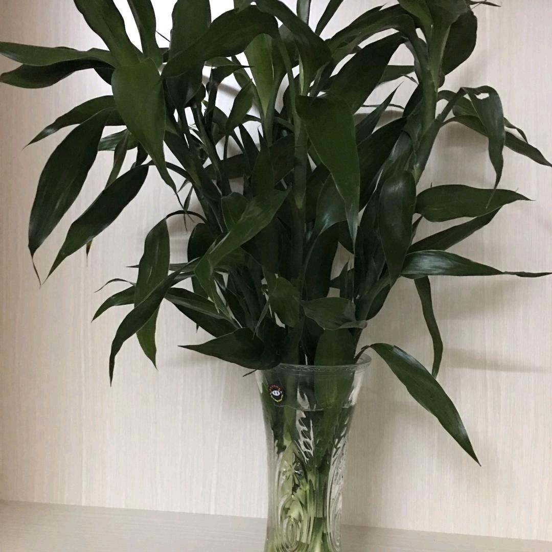 听风幻墨