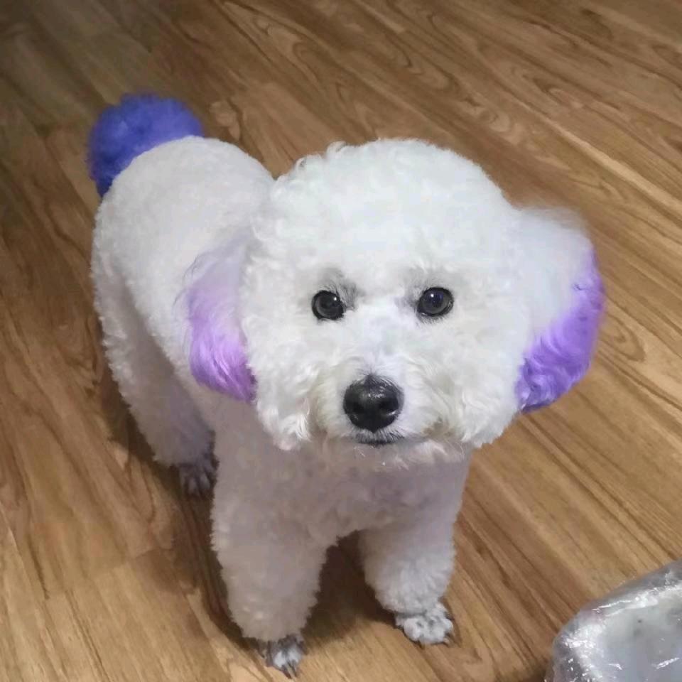 威猛先生