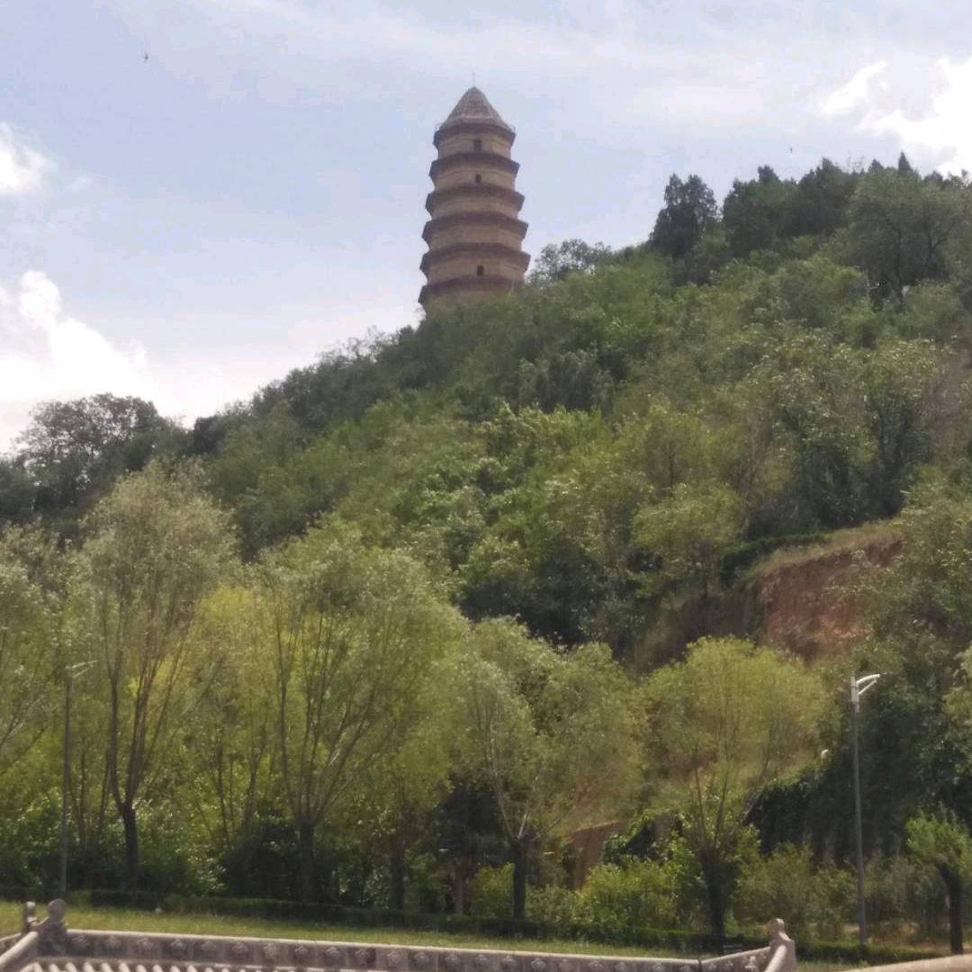 龙腾苍穹