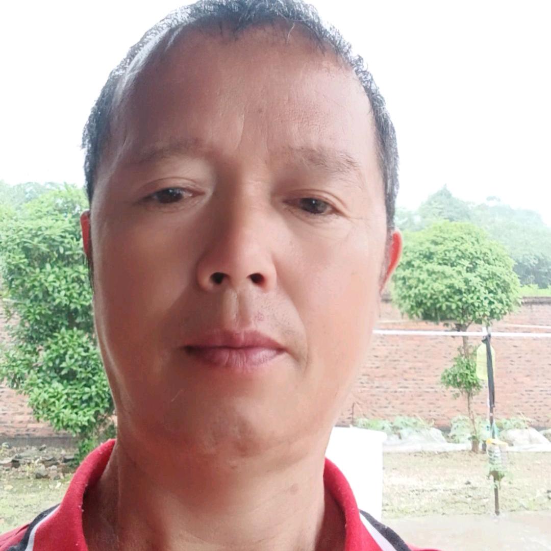 杨玫茂