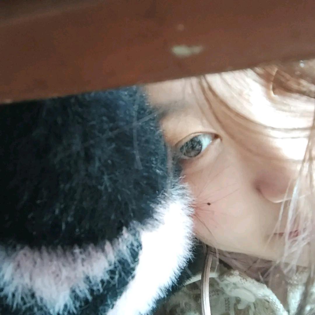 蜜蜂小狗可爱beee.