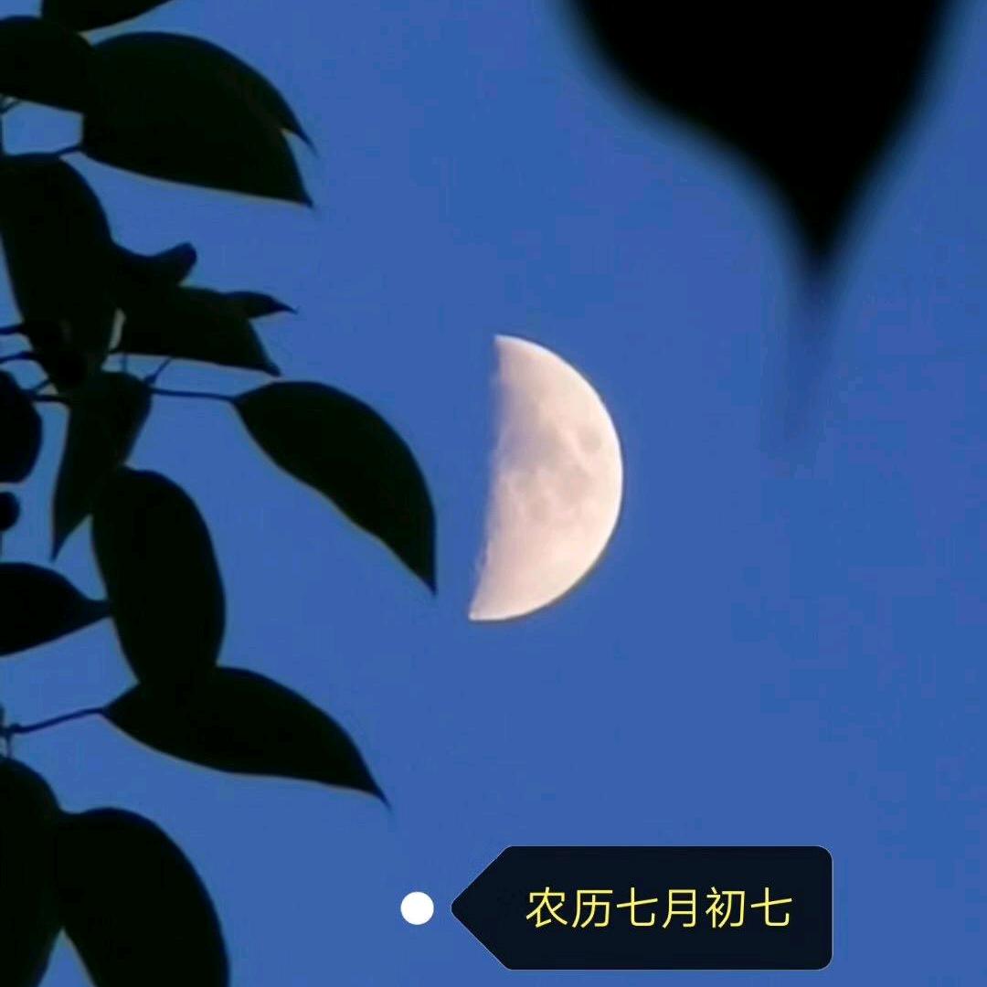 夏都