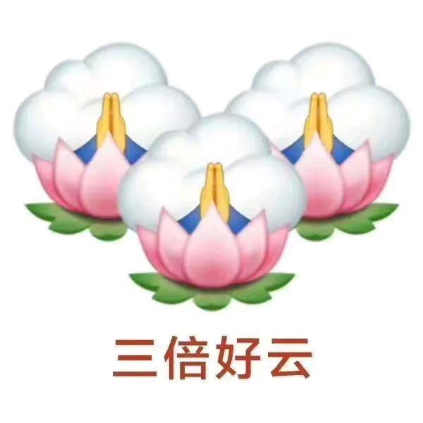 有多少工资全炫嘴里