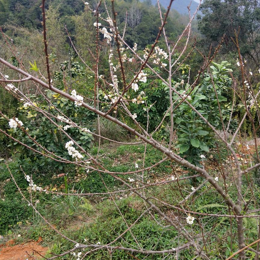 手机用户67214157306