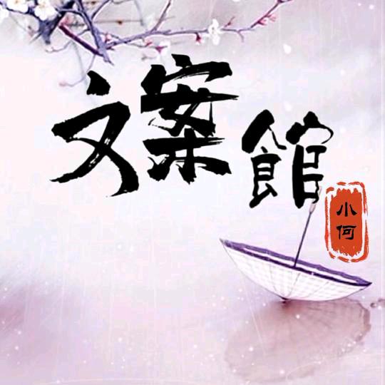 小何文案