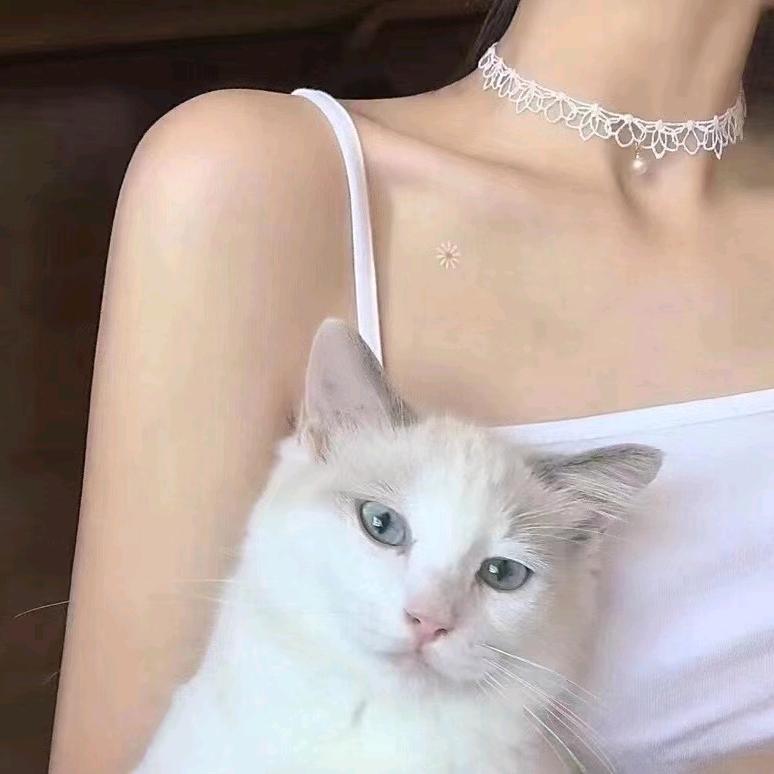 有糖✨