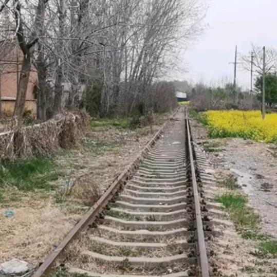 小帅哥