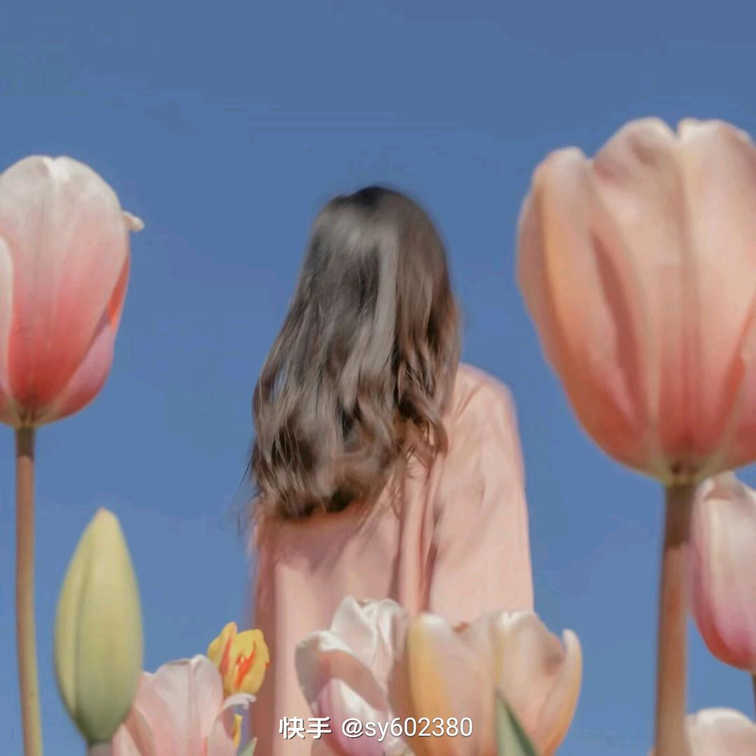 KL飘零