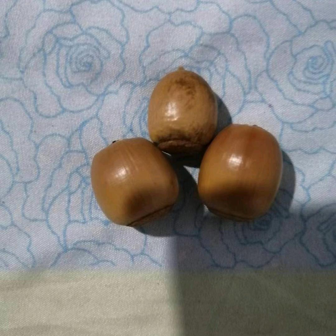 弟老三