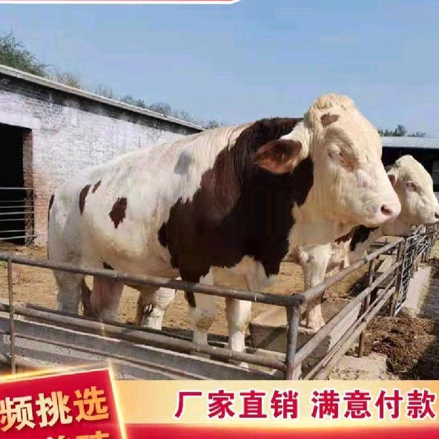 旺养殖场