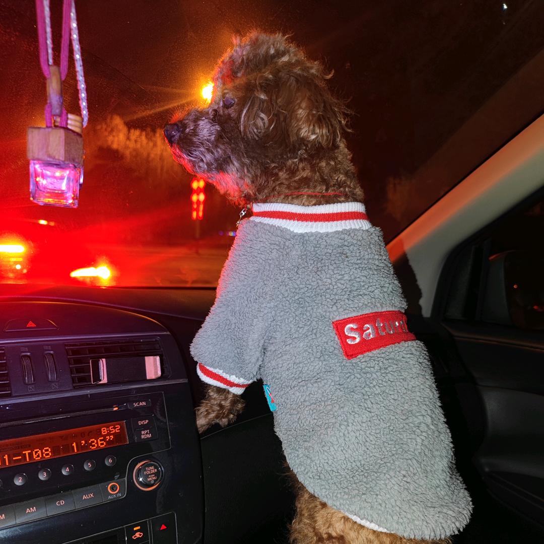 ⊙﹏⊙酒后吐箴言