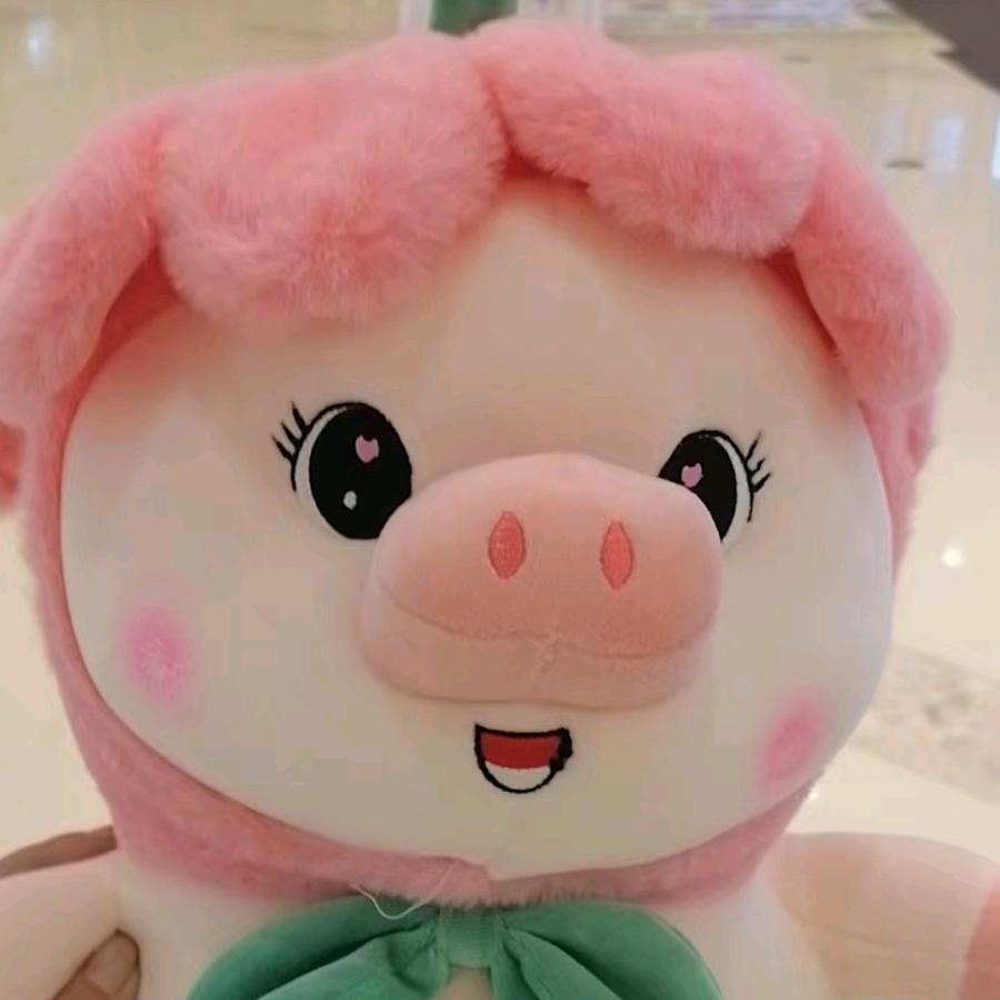 小猪皮