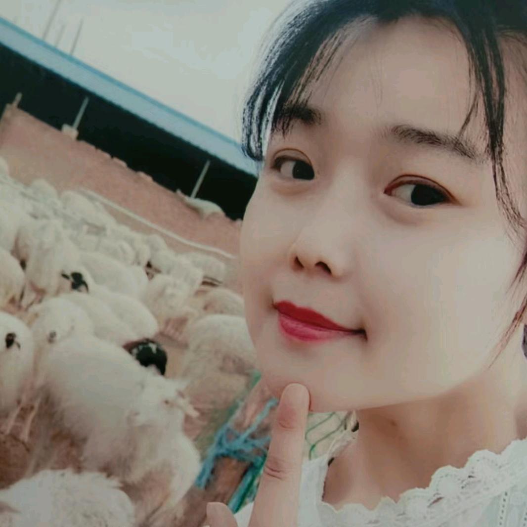 小小馋兔