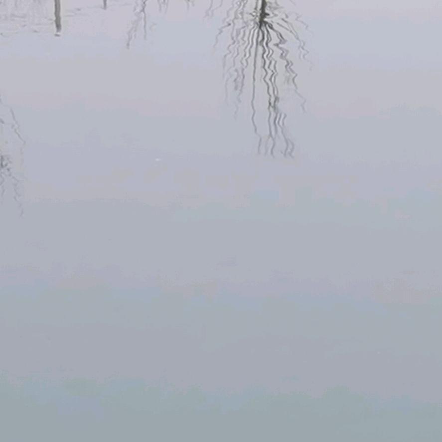 橘子🍊🍊海