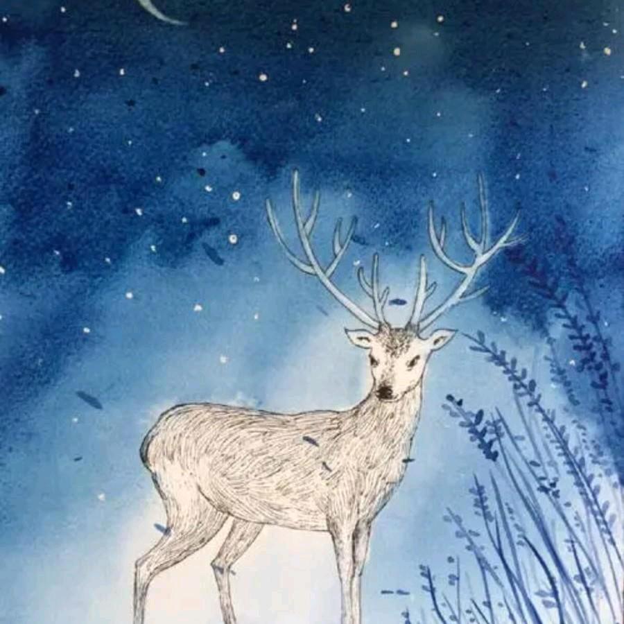 麋鹿玩游戏