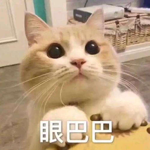 林悦0504