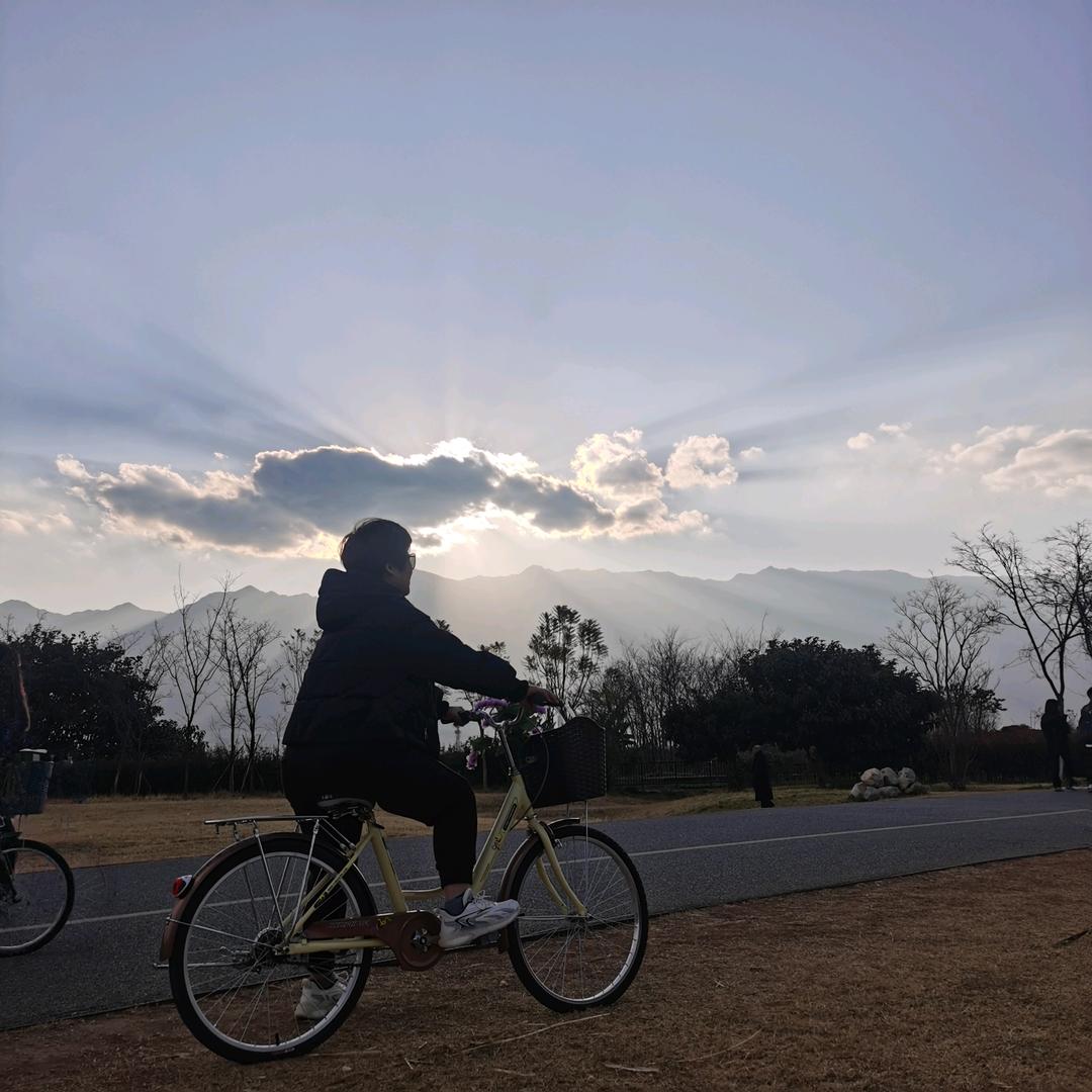 妮塔