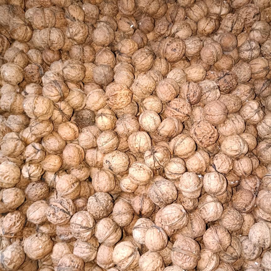 网上找对象
