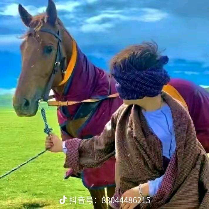 爱🐴马