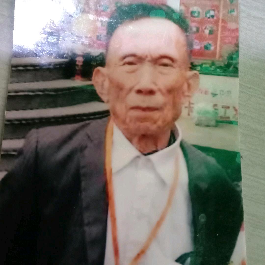 老杨头
