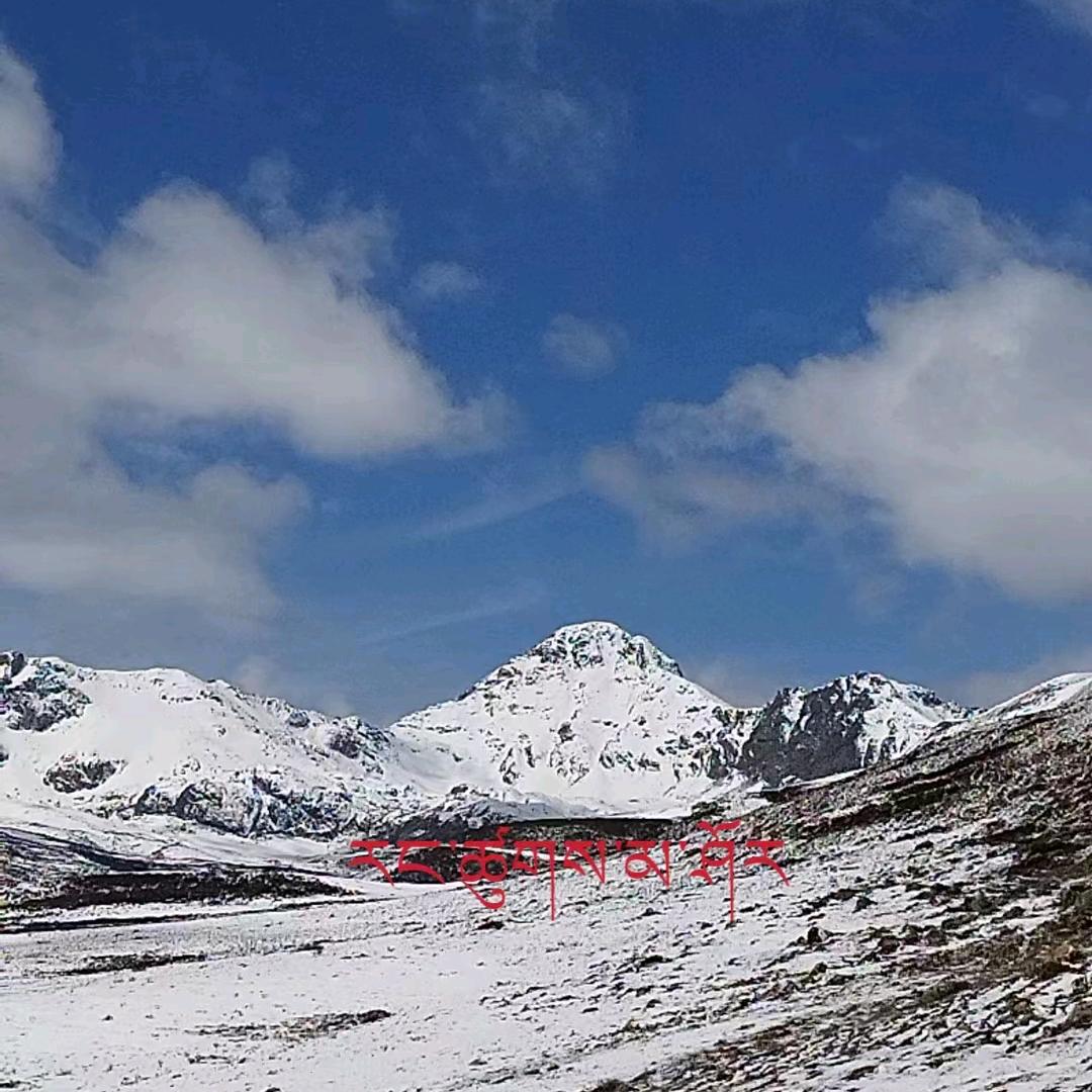 ཚ་འགོ་བུ།།🌍昌戈布